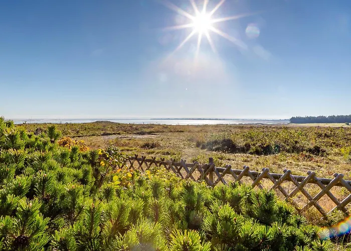 Soenshoern 8 Mitte Munkmarsch